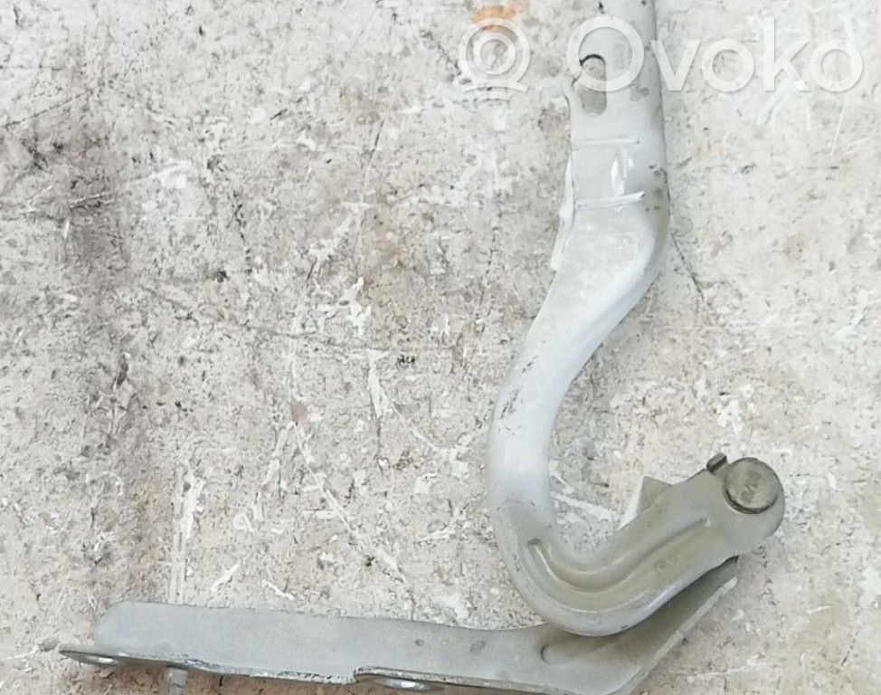Konepellin saranat   791297