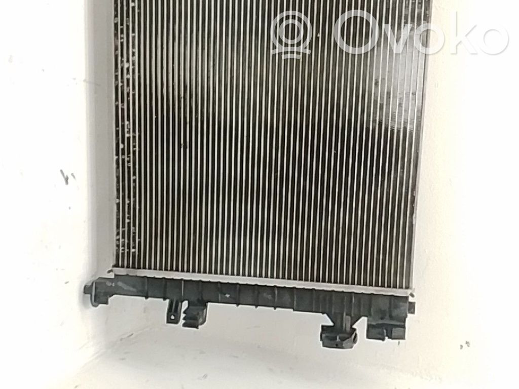 Radiator lichid răcire   12314775