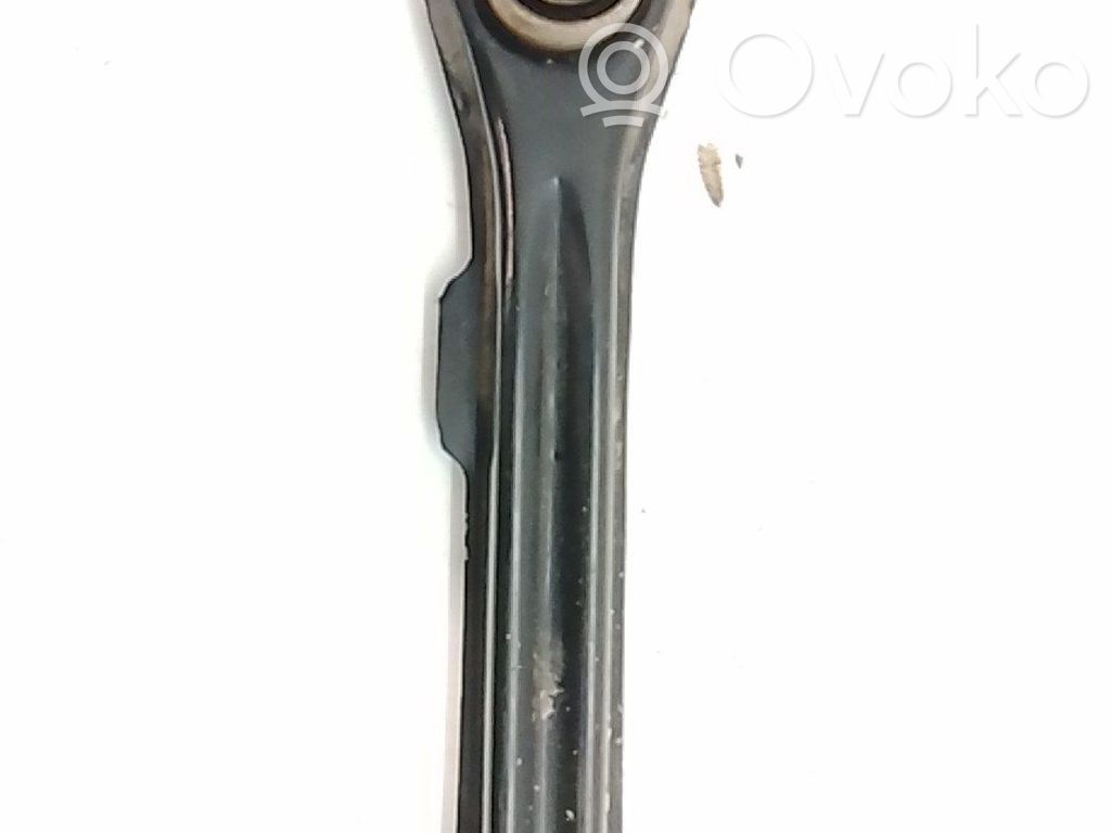 Galinė šakė   51939957