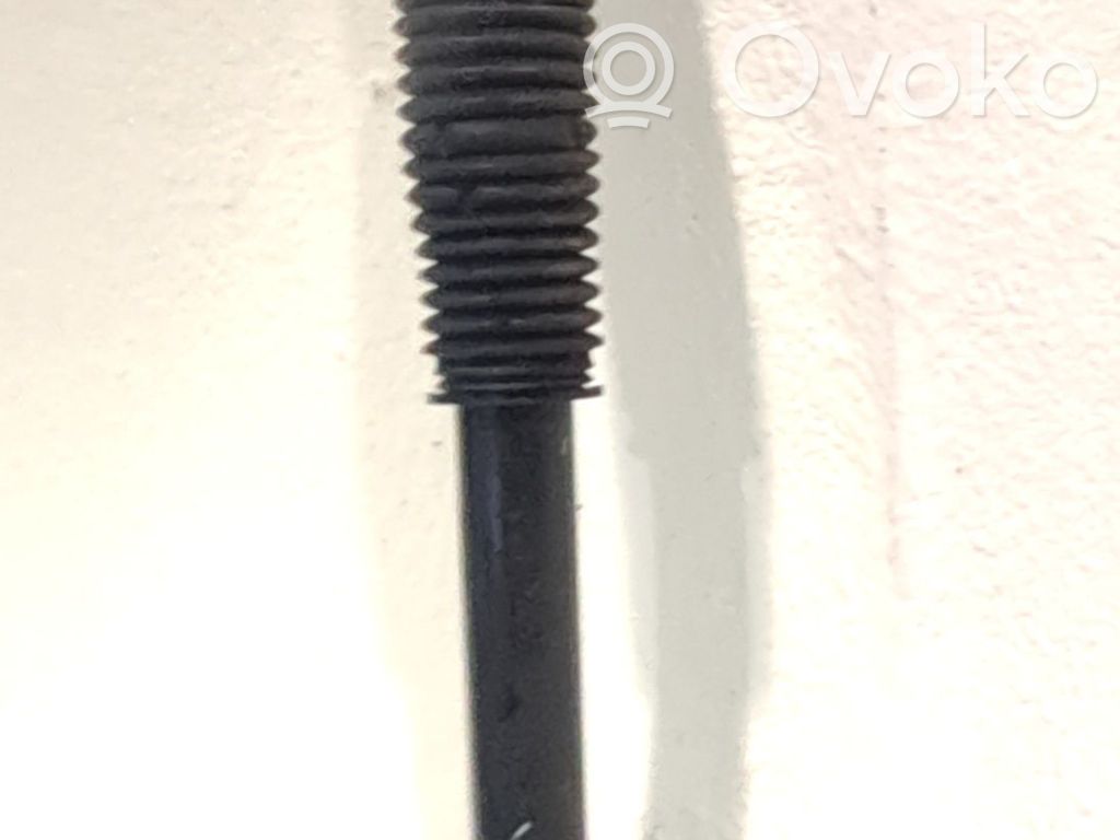 Amortizor spate   55311F1550