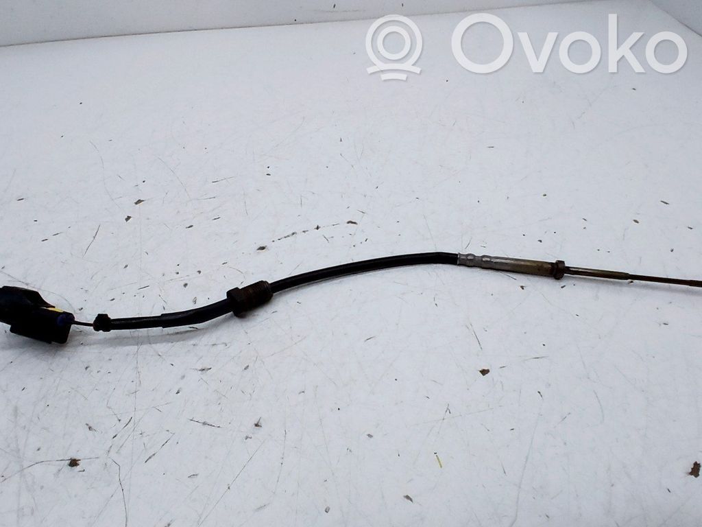 Toyota Land Cruiser (J150) Abgastemperatursensor 