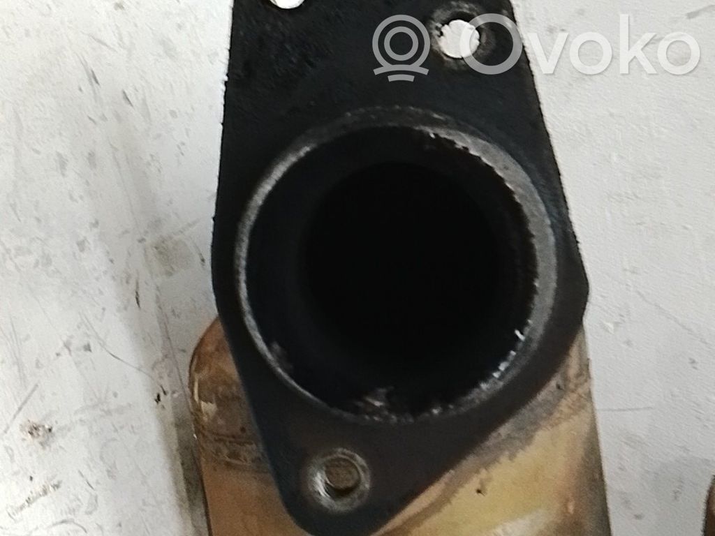 Renault Clio III Filtru de particule catalizator/FAP/DPF 