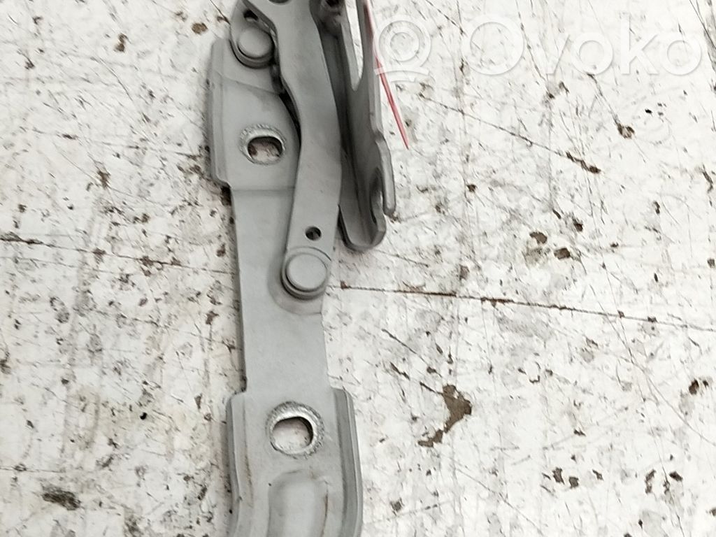 BMW 3 E92 E93 Cerniera portellone posteriore/bagagliaio 