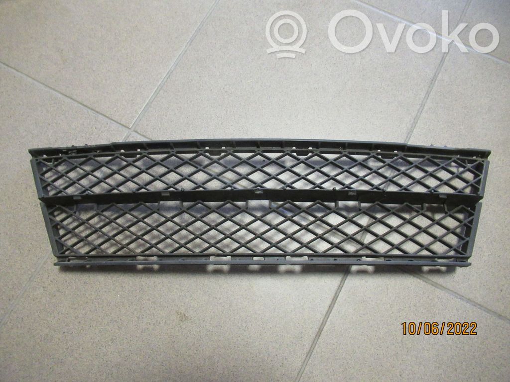 Front bumper lower grill   51117178113