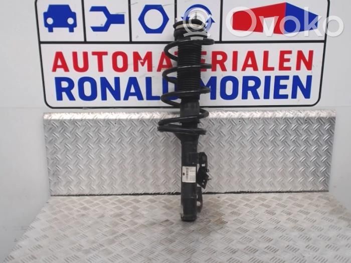 Amortiguador delantero   BK215310FB