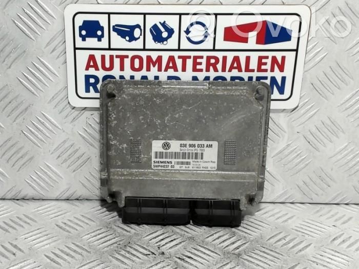 Seat Ibiza III (6L) Engine control unit/module 