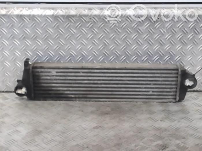Starpdzesētāja radiators