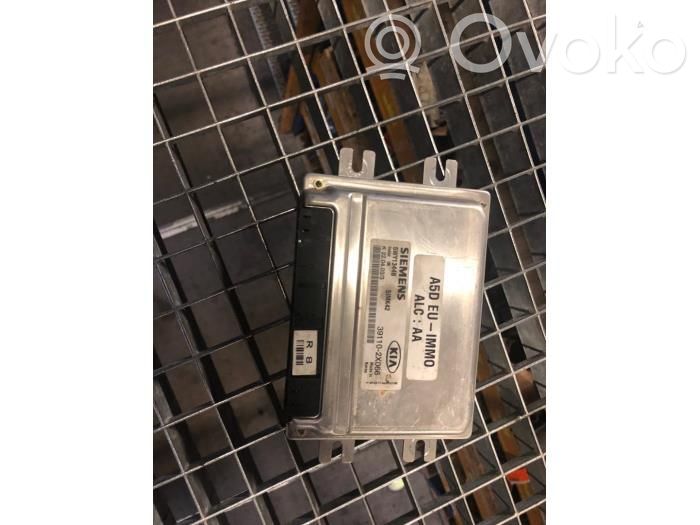 Engine control unit/module   391102X066