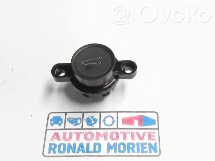Tesla Model 3 Tailgate/trunk/boot open switch 