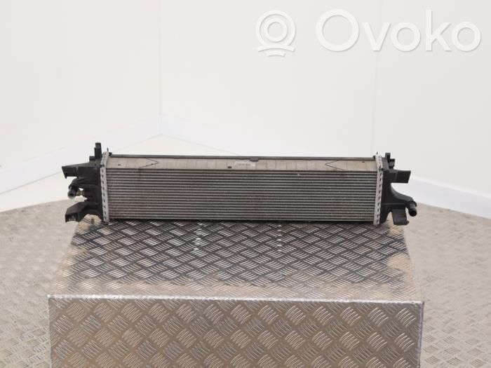 Ford Focus Aušinimo skysčio radiatorius 