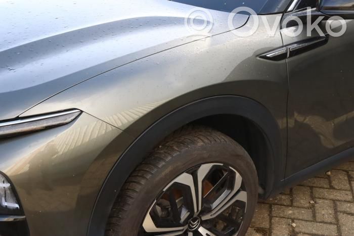 Citroen C5 X Guardabarro 