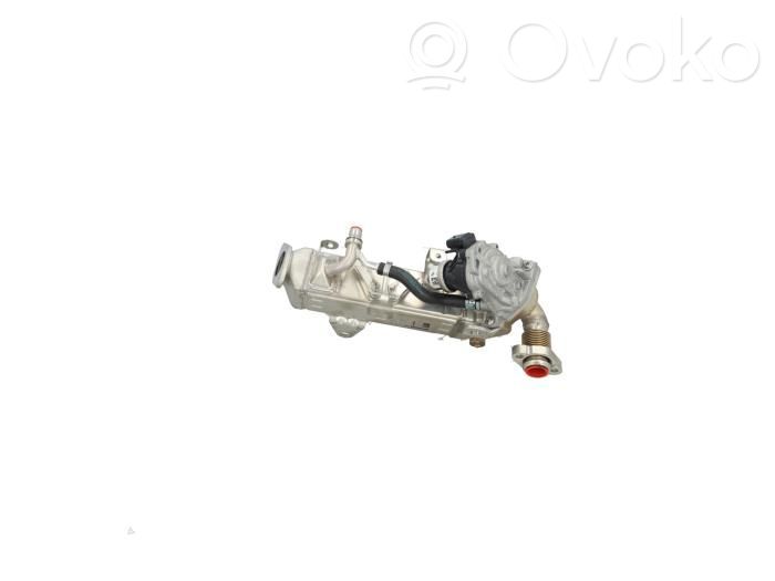 BMW 4 G22 G23 G24 G26 Chłodnica spalin EGR 