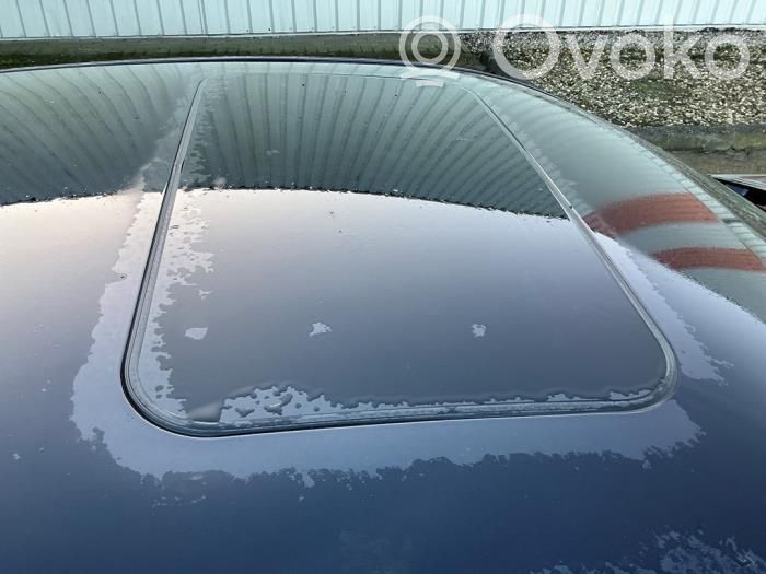 Porsche Panamera (970) Katto 