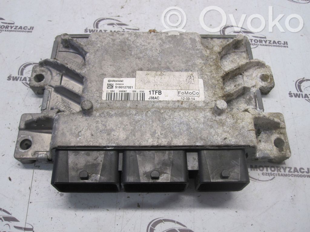 Ford Focus Engine control unit/module 