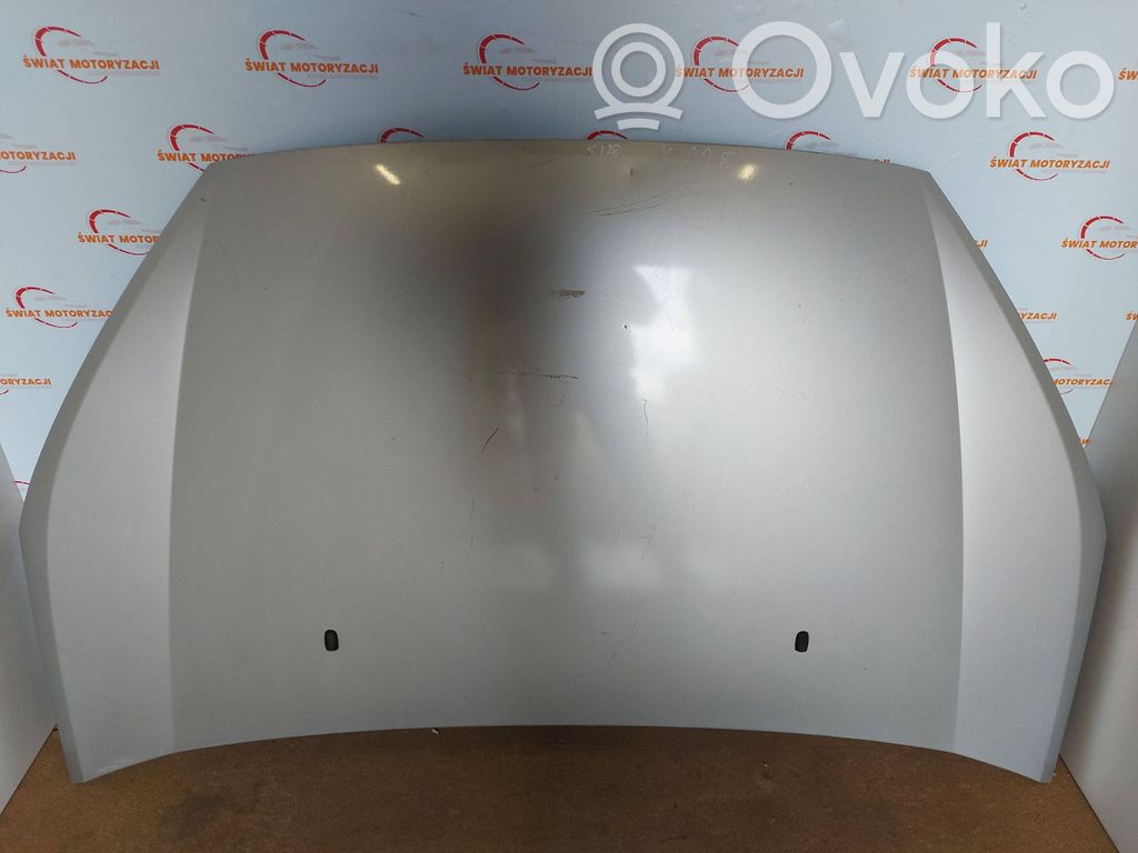 Engine bonnet/hood