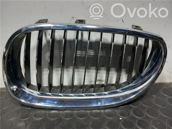 Rejilla delantera   51137065701,51137027061