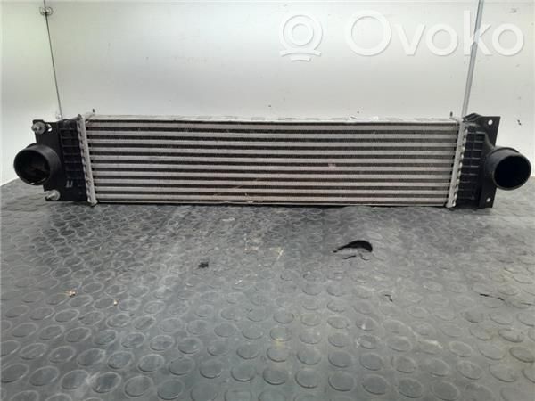 Radiador intercooler   E1G36K775JA