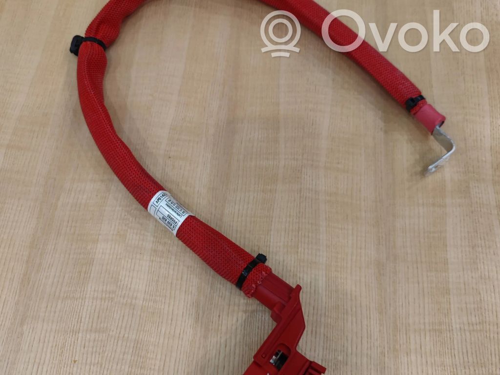 BMW X3 G01 Positive cable (battery) 