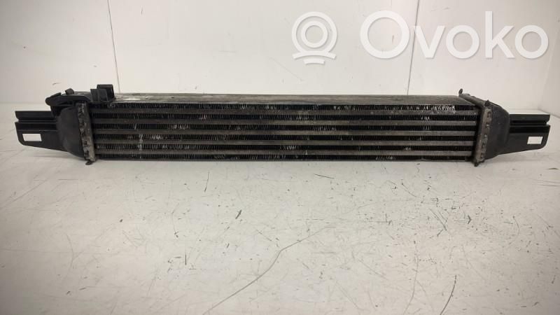 Radiador intercooler   00000384L7