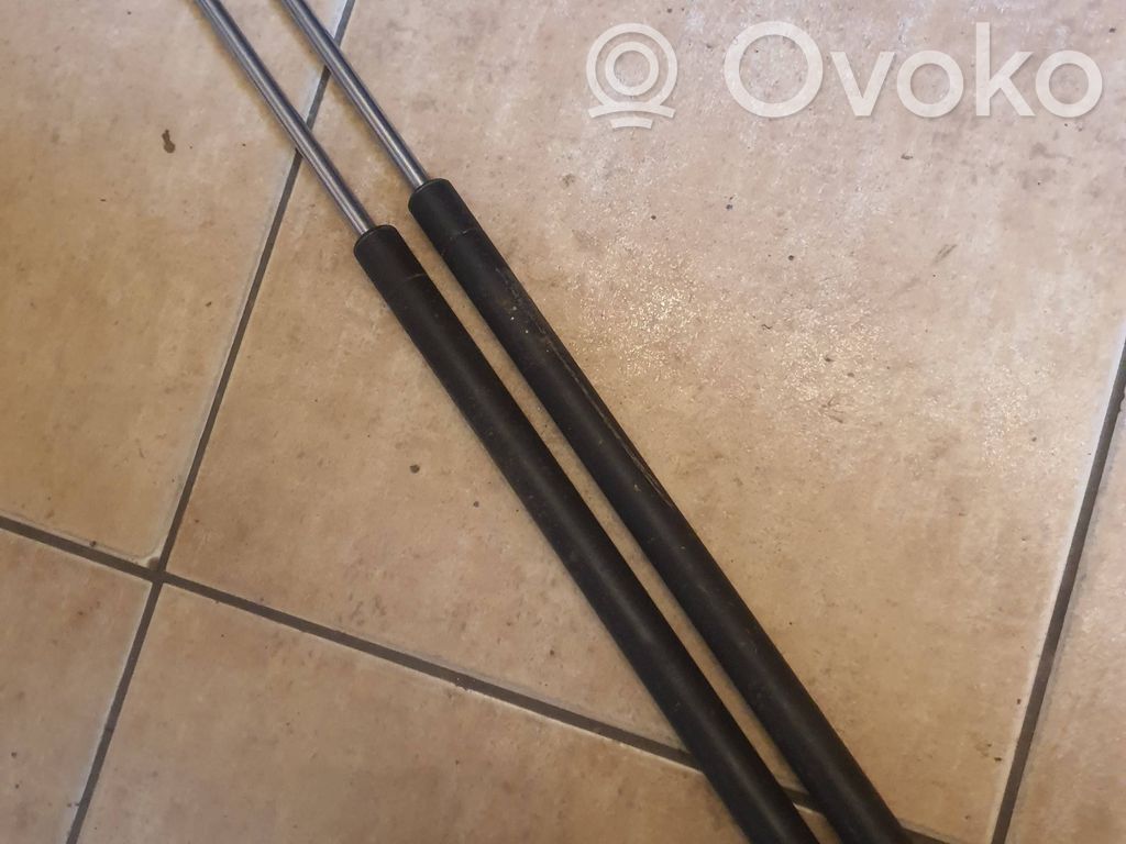 Ford Escort Tailgate/trunk strut/damper 