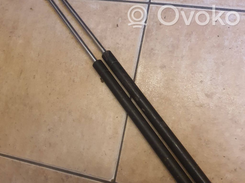 Ford Escort Tailgate/trunk strut/damper 