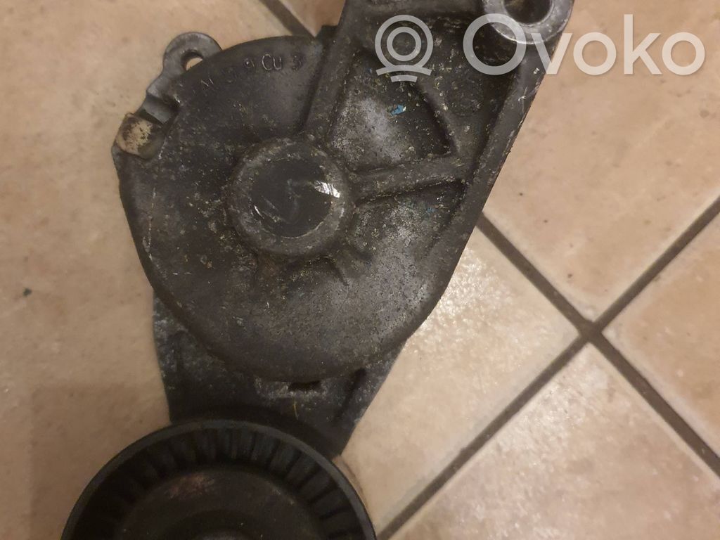 Volkswagen Bora Întinzător curea generator/alternator 