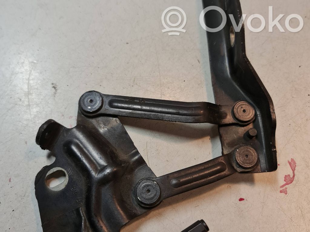 Volkswagen PASSAT B6 Balamale capotă 
