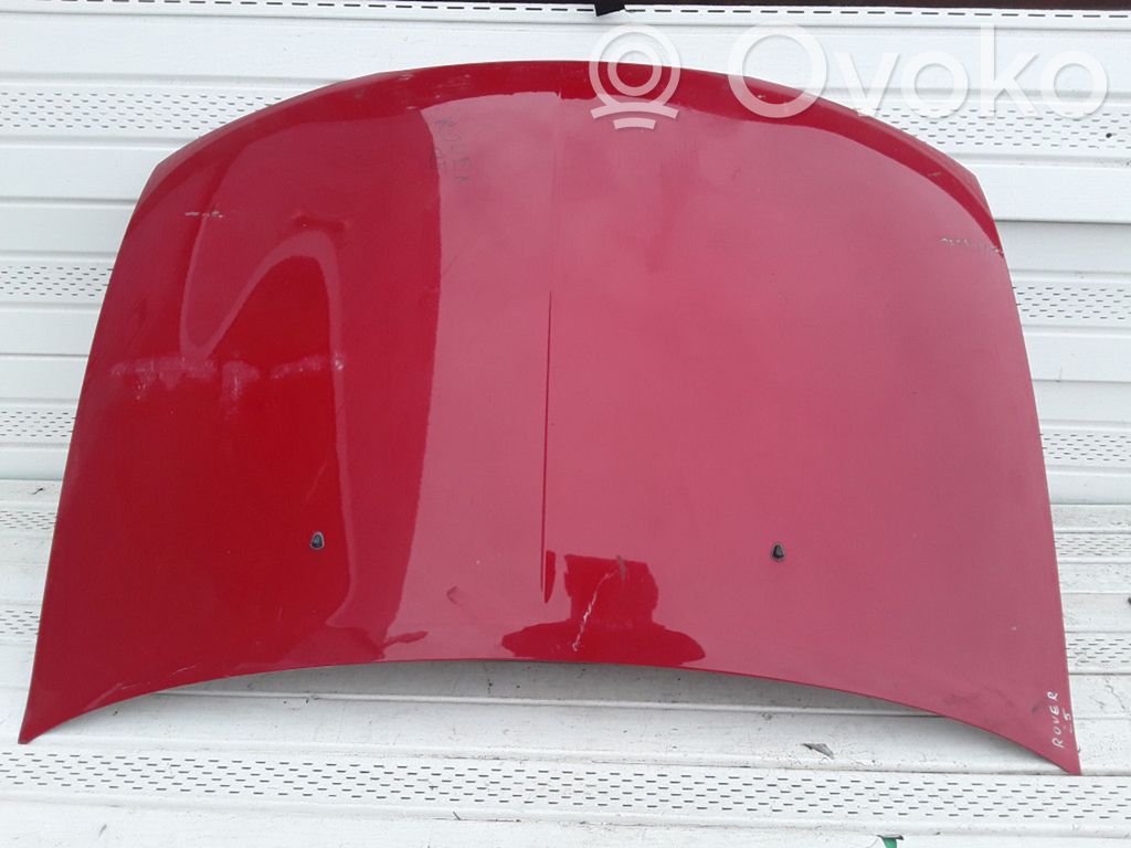 Engine bonnet/hood