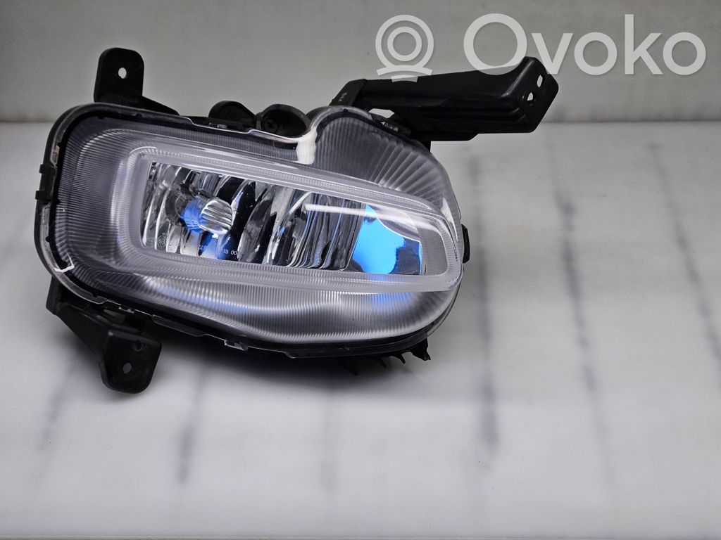 Front fog light   CD2010,92201J7000