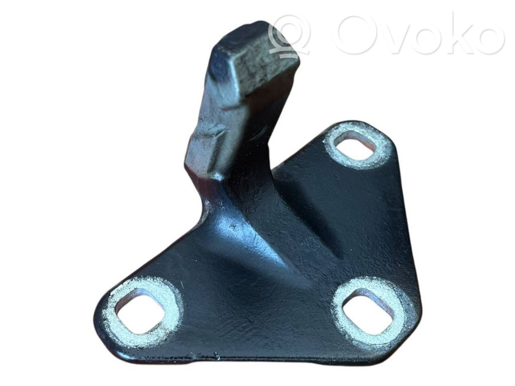Tailgate/trunk/boot hinge   0811