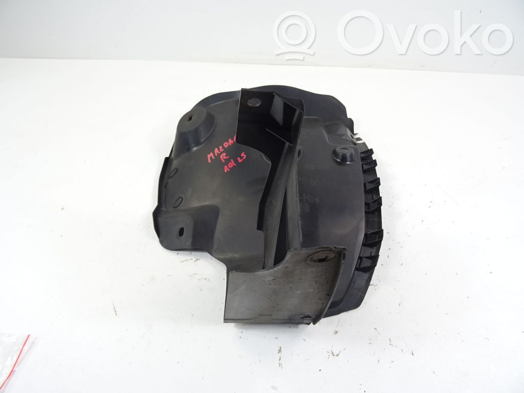 Posparnis galinis   GHP950341