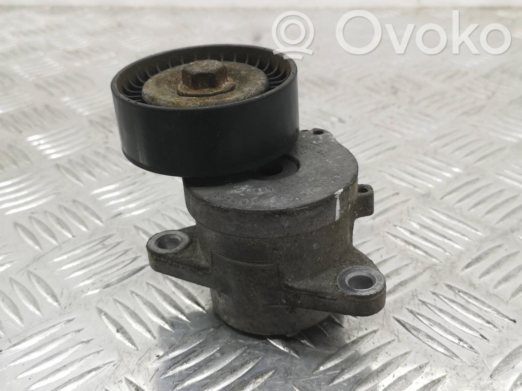 Opel Insignia A Tendicinghia generatore/alternatore 