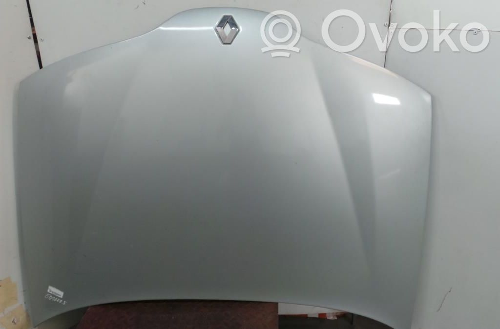 Engine bonnet/hood