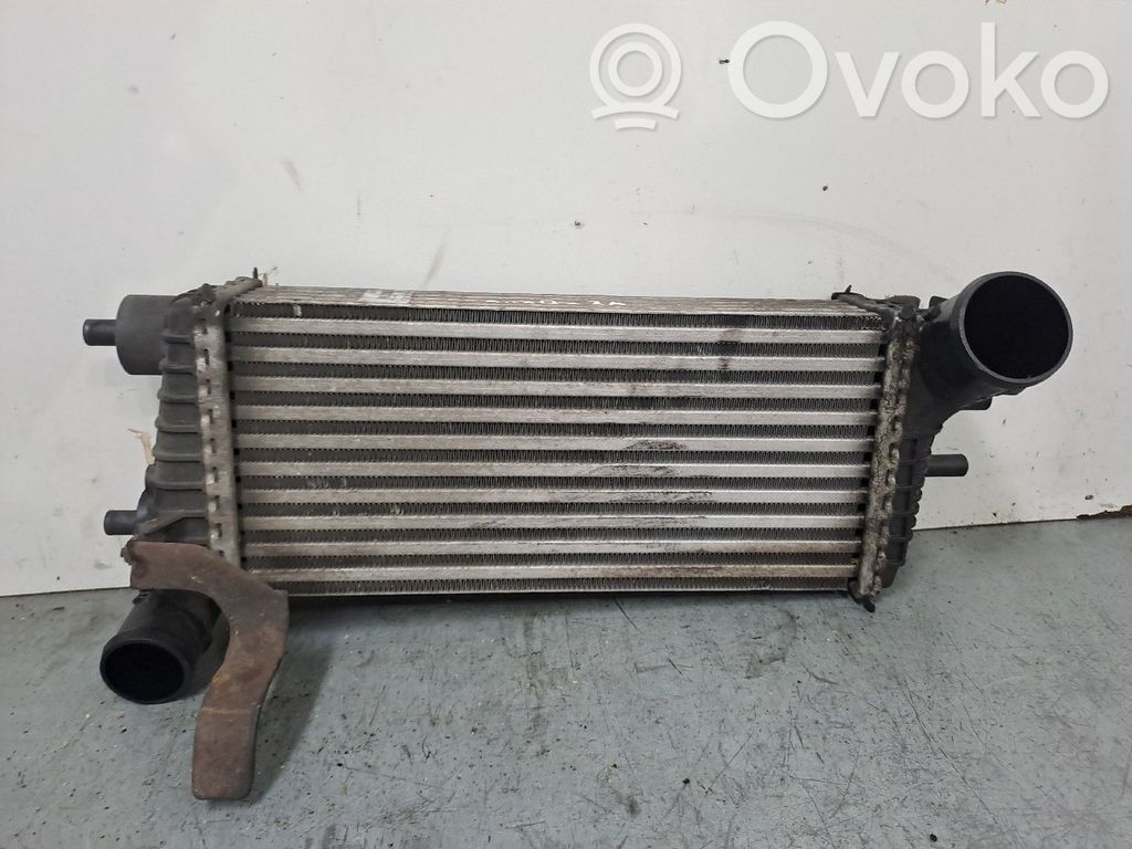 Välijäähdyttimen jäähdytin   BV619L440CE,Y2488004