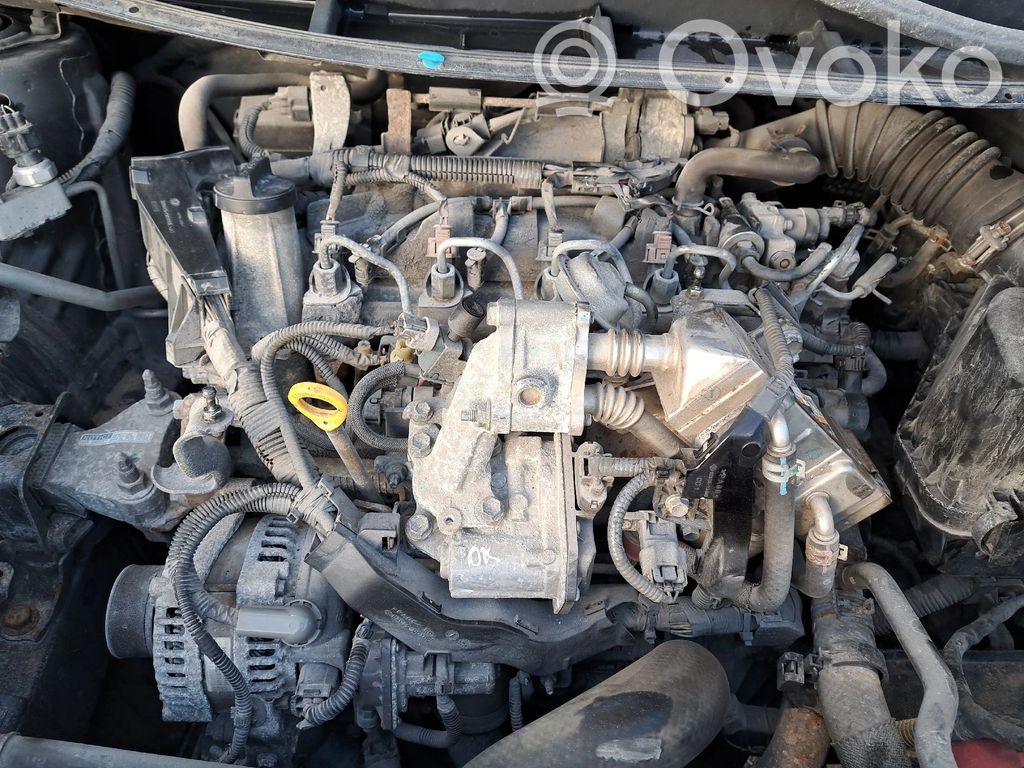 Motor