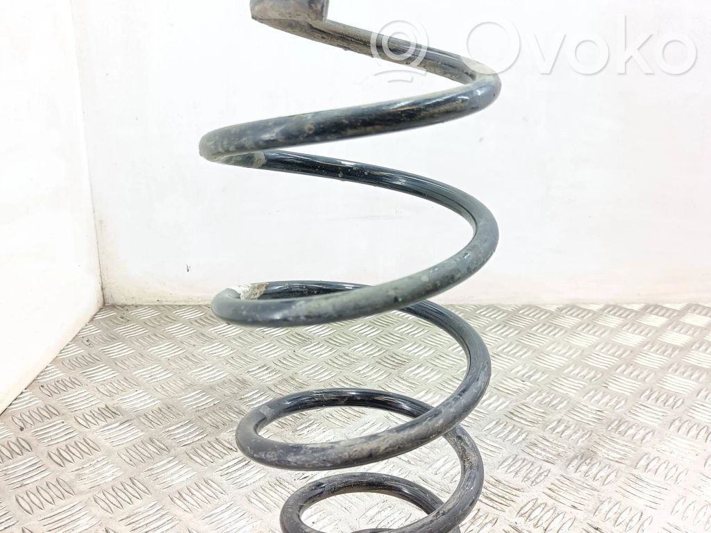 Front coil spring