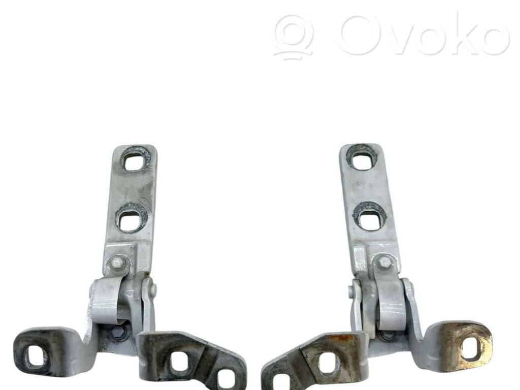BMW X5 E70 Tailgate/trunk/boot hinge 