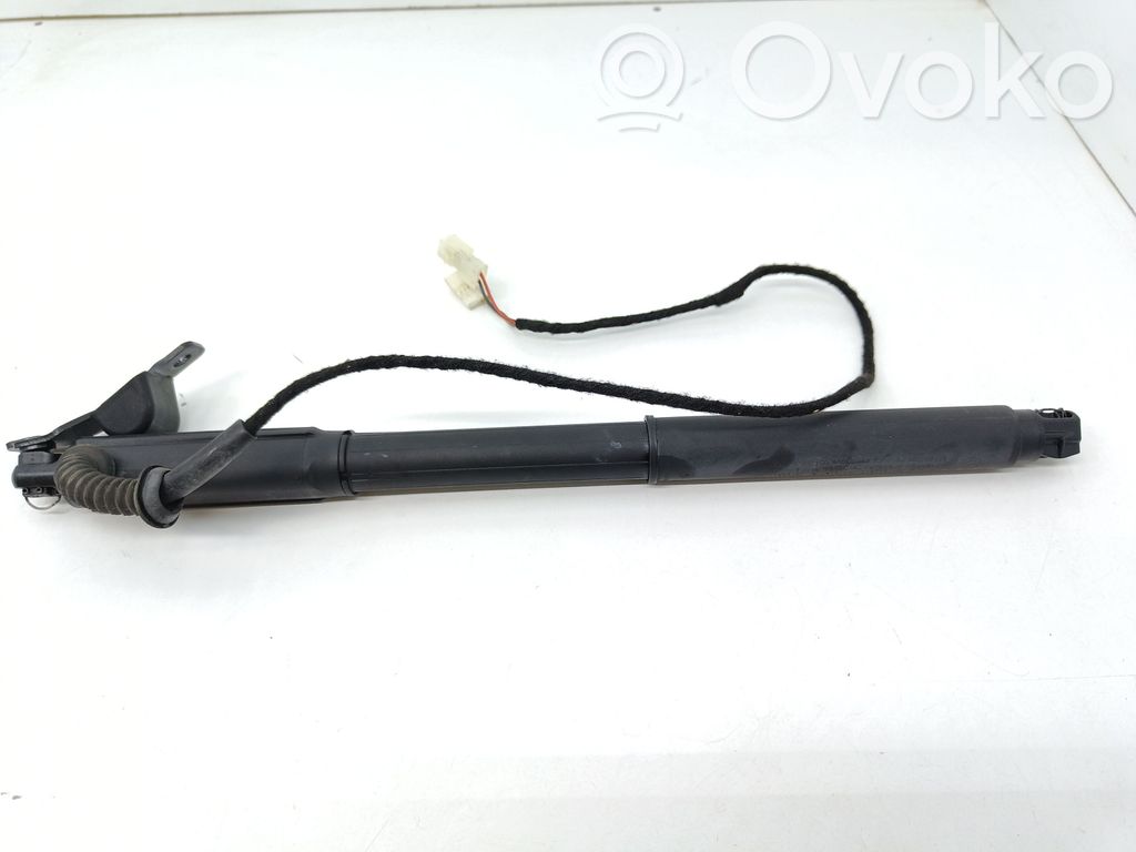 Tailgate/trunk strut/damper   7294588,15062011,70107811