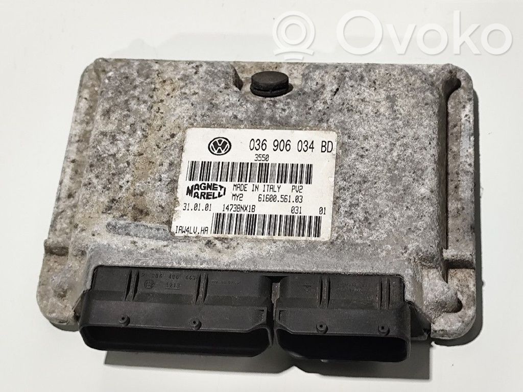 Engine control unit/module   036906034BD,6160056103