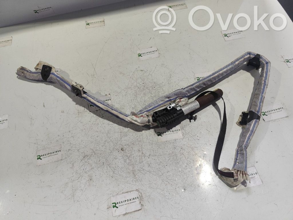Airbag del techo   13150705,30363244B
