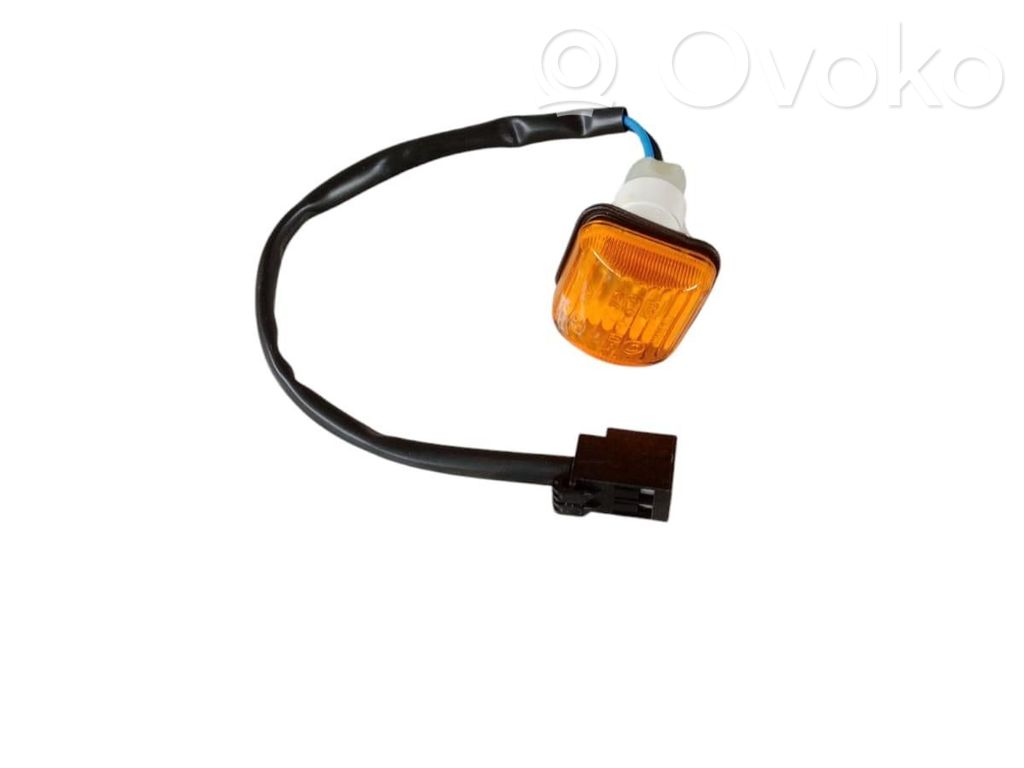 Fiat Ducato Seitenblinker 