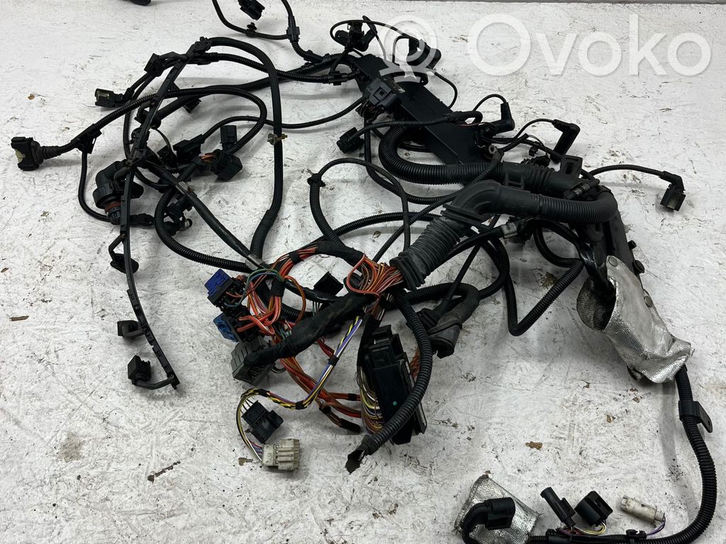 Engine installation wiring loom   780226401