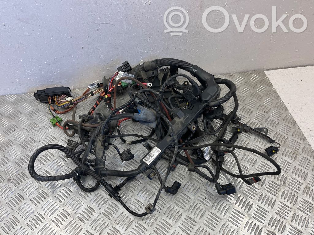 Engine installation wiring loom   758039016A