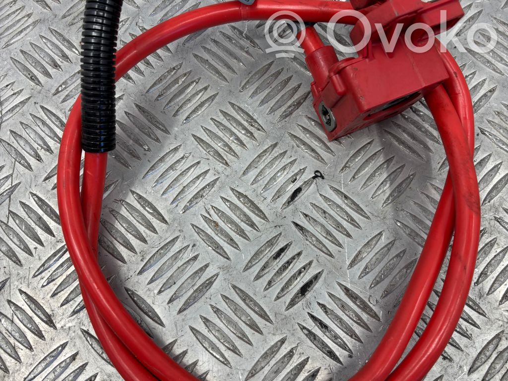 Pluskaapeli (akku)   6989780