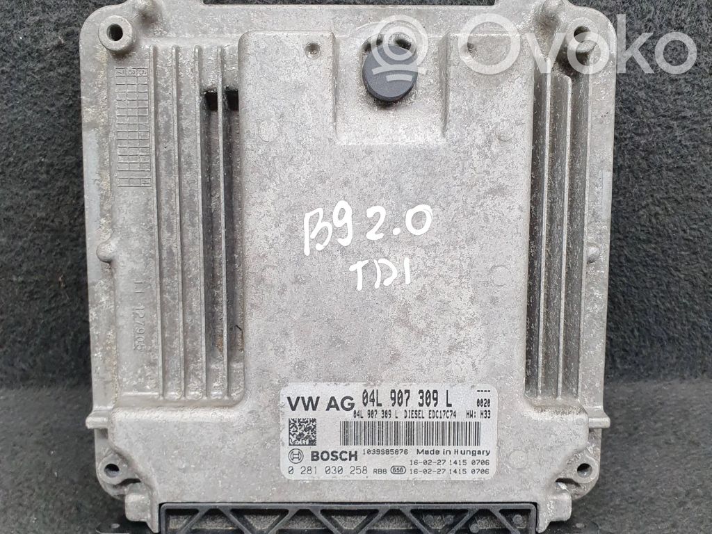 Engine control unit/module   04L907309L,0281030258,04L906026AG