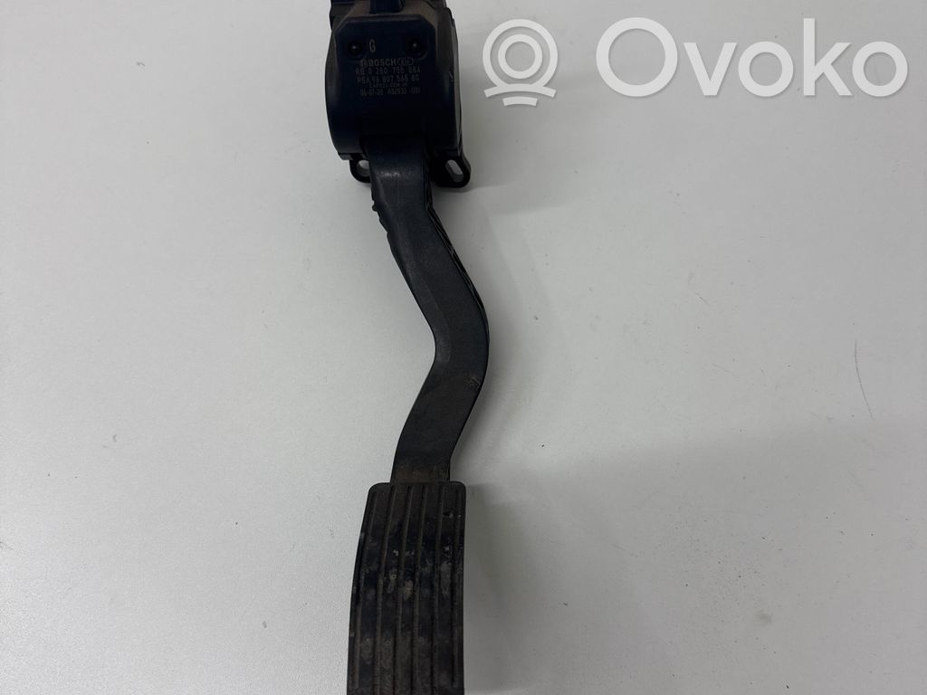 Citroen C3 Kaasupoljin 