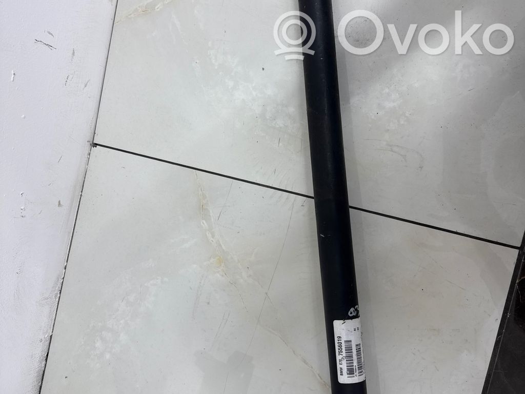 Eje propulsor delantero   7556019