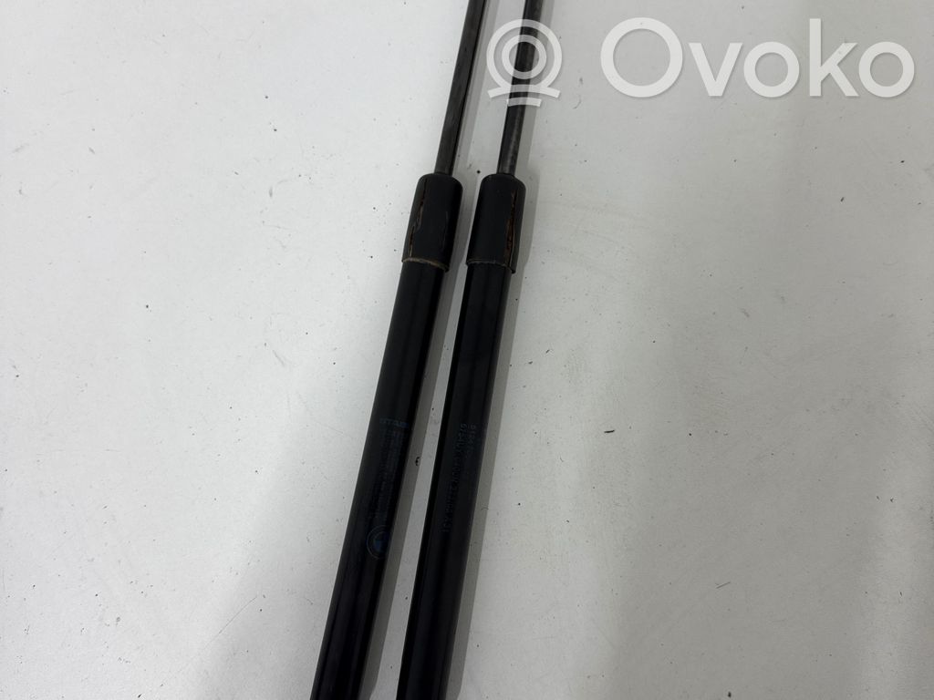 BMW 1 E81 E87 Tailgate/trunk strut/damper 