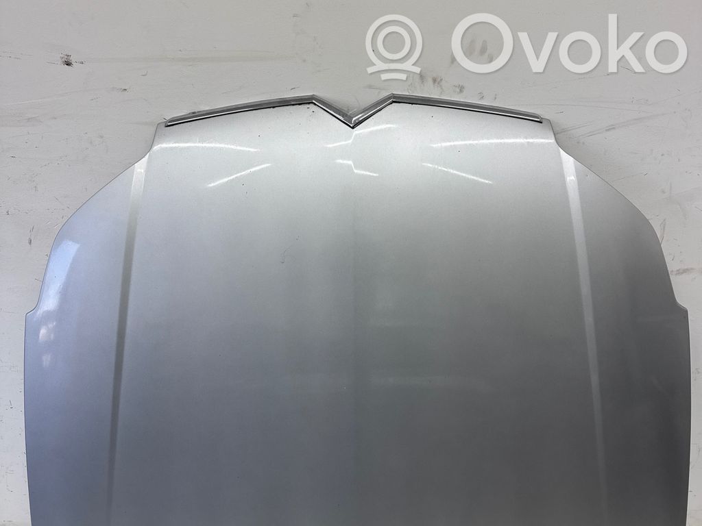 Engine bonnet/hood