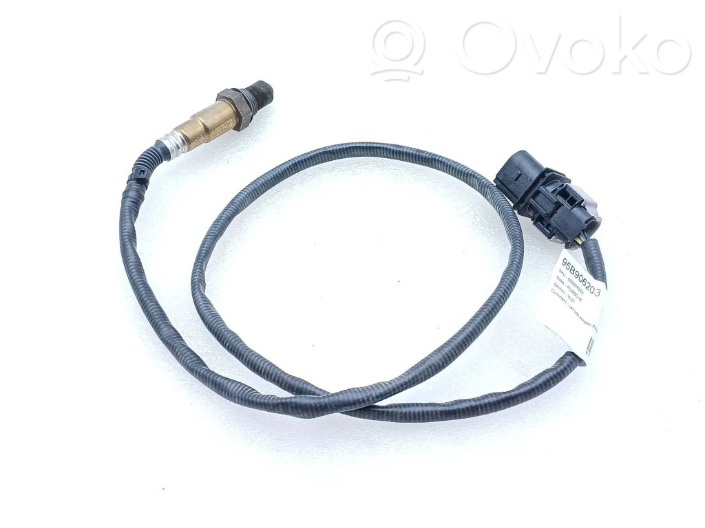 Sonde lambda   95B906203